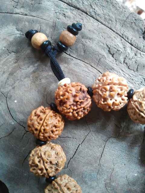 Thumbnail: Rudraksha Mala Bracelet