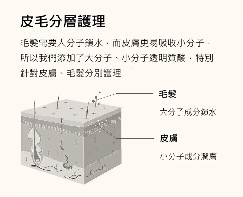 縮圖：AMO PETRIC - 冷杉針輕質精油沐浴露 (肌膚敏感犬/短硬毛犬用) 450ml