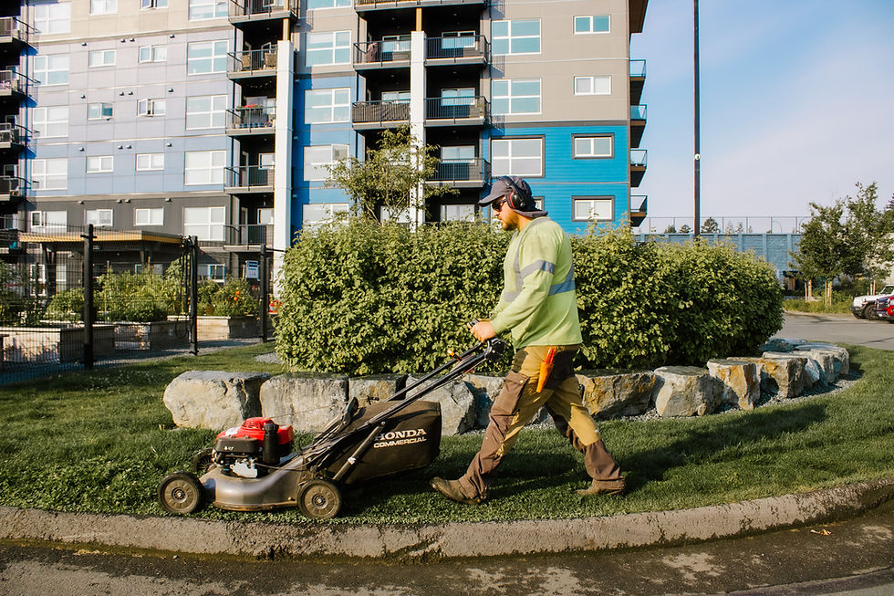 Blackbird Collective Inc., Victoria, BC, Commercial, Residential, Landscaping, Design, Rocket Web Labs