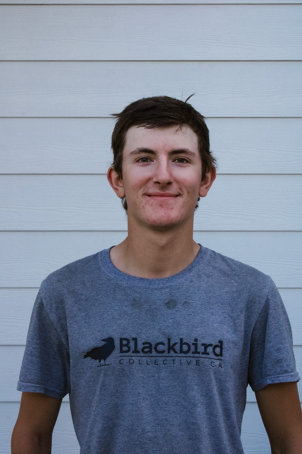 Blackbird Collective Inc., Victoria, BC, Commercial, Residential, Landscaping, Design, Rocket Web Labs