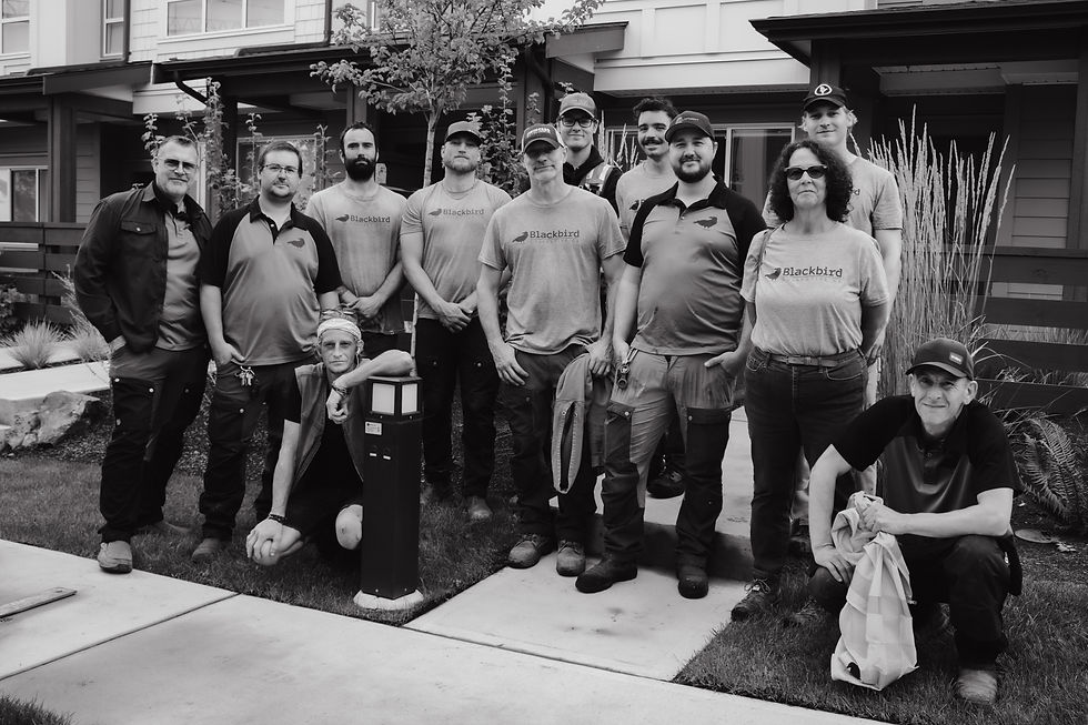 Blackbird Collective Inc., Victoria, BC, Commercial, Residential, Landscaping, Design, Rocket Web Labs