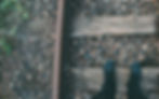 imagem9