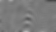 zebra-background.webp