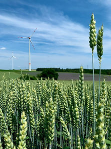 image3 - Kopie (3).jpeg