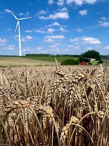 image2 - Kopie (5).jpeg