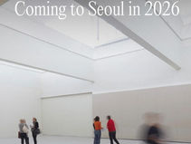 People admiring art exhibitions 