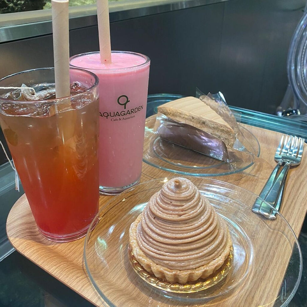 Jamsil Aqua Garden Cafe - drinks & cakes