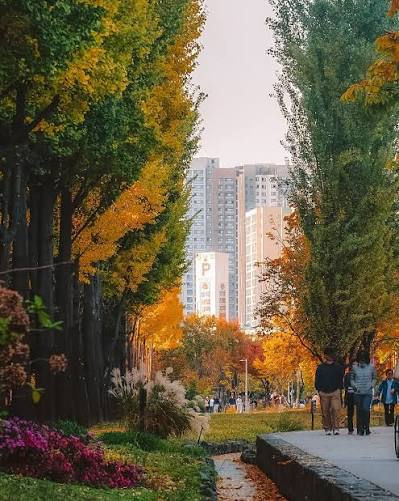 Gyeongui Line Forest Park - Yeonnam dong section