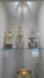 Several trophees and awards