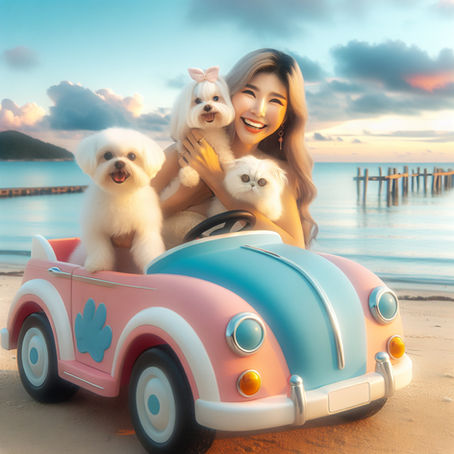 WELCOME TO THE LAUNCH OF PETS FASHION !