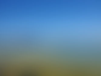 July & August '22 ~ Disorientation