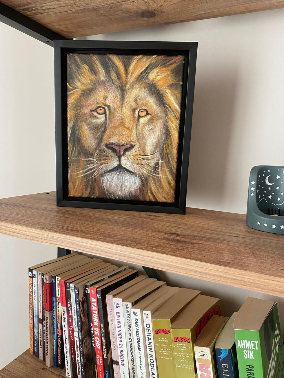 aslan oda 2