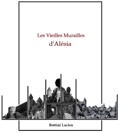 couverture de livre 3.png