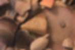 29.JPG