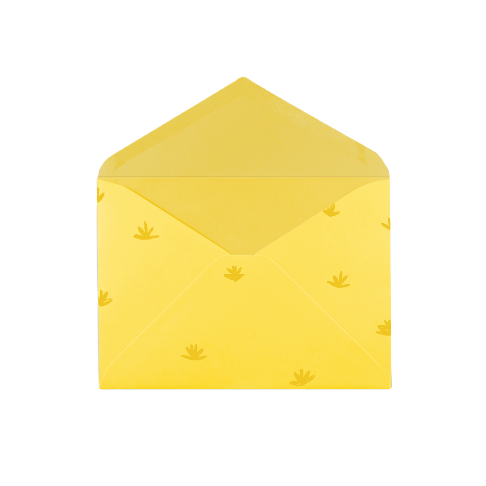 Yellow Envelope