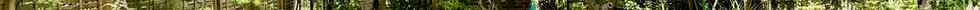 IMG_0384 (3).jpeg