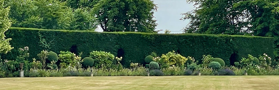 A professional gardening and horticultural transformation to beds, perennials, shrubs, topiary and trees for manor house in Hertfordshire by Garden Rejuvenation with Mark Harrison