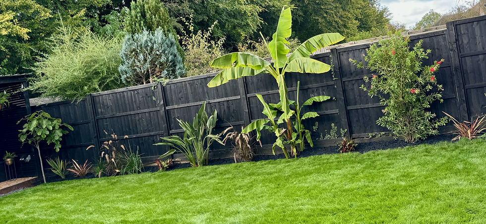 After Garden Transformation involving new lawn, new flower beds with plants and planting, 