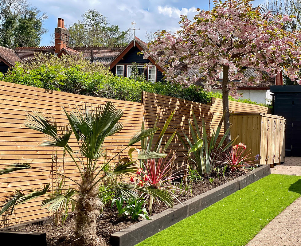 A photo showing completion of the planting with new turf stage resulting in completion of our garden rejuvenation and garden transformation project for the drive way, front entrance front garden bed.