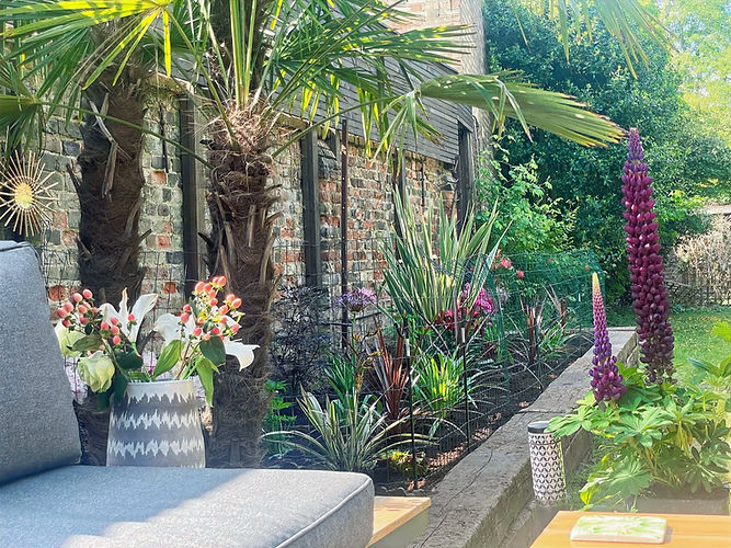 Tropical and Mediterranean garden design and planting planting for riverside property in H