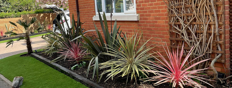An after photo following completion of planting of selected, sourced and planted plants for a contemporary mediterranean and tropical style garden planting stage of a wider full garden planting and transformation project.