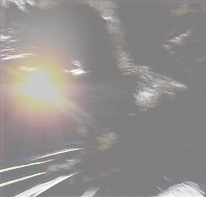 Screenshots_2020-02-09-11-42-51(1)_edite