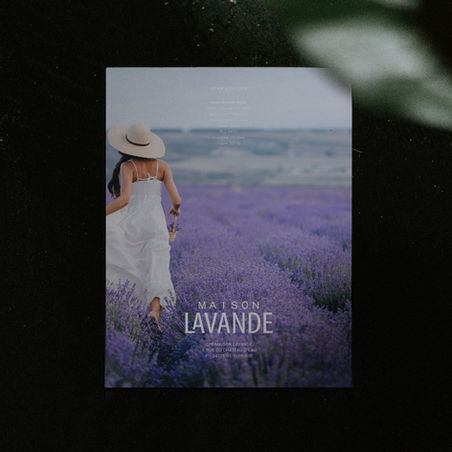 maison lavande design graphic design print design designer