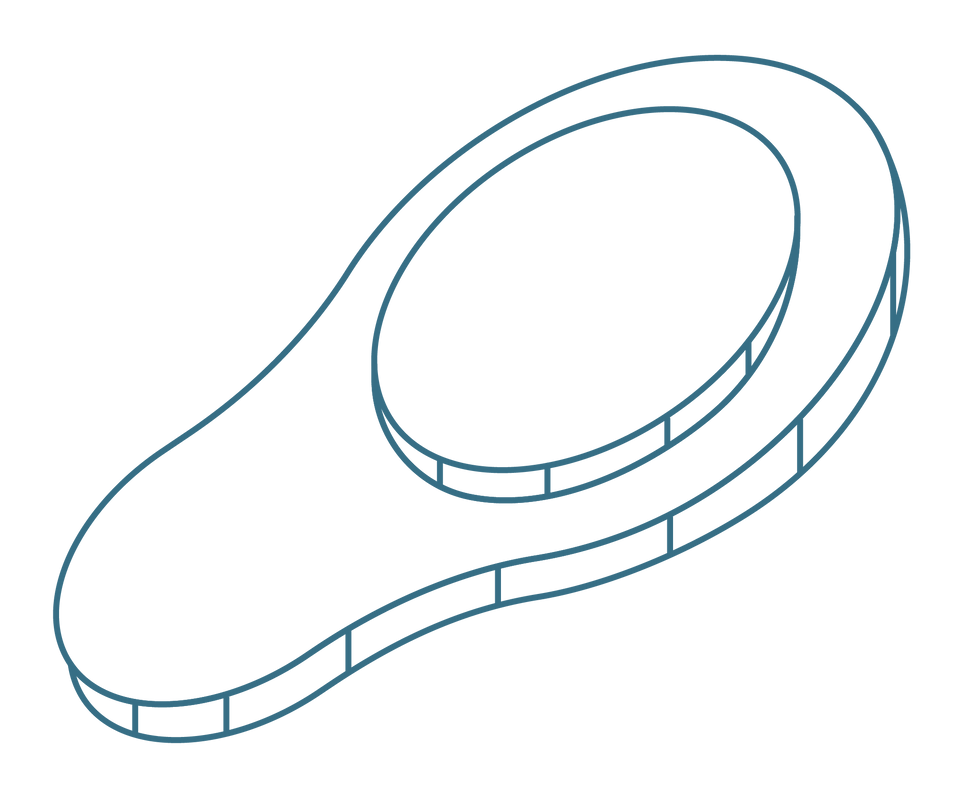 magnet used in biomagnetism