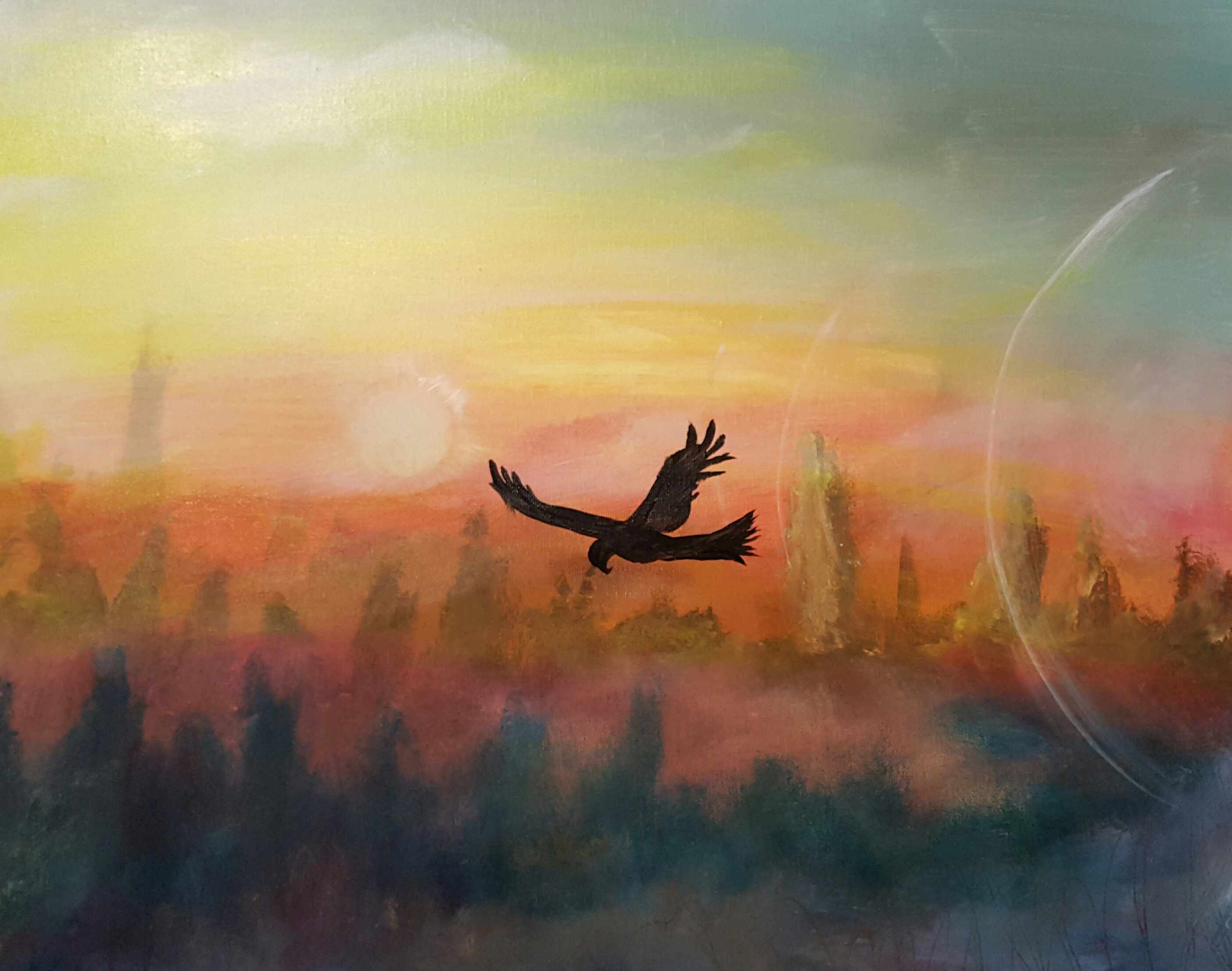 Soar