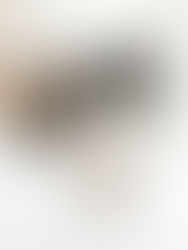 Finding the Right Hairbrush to for your Hair and Style