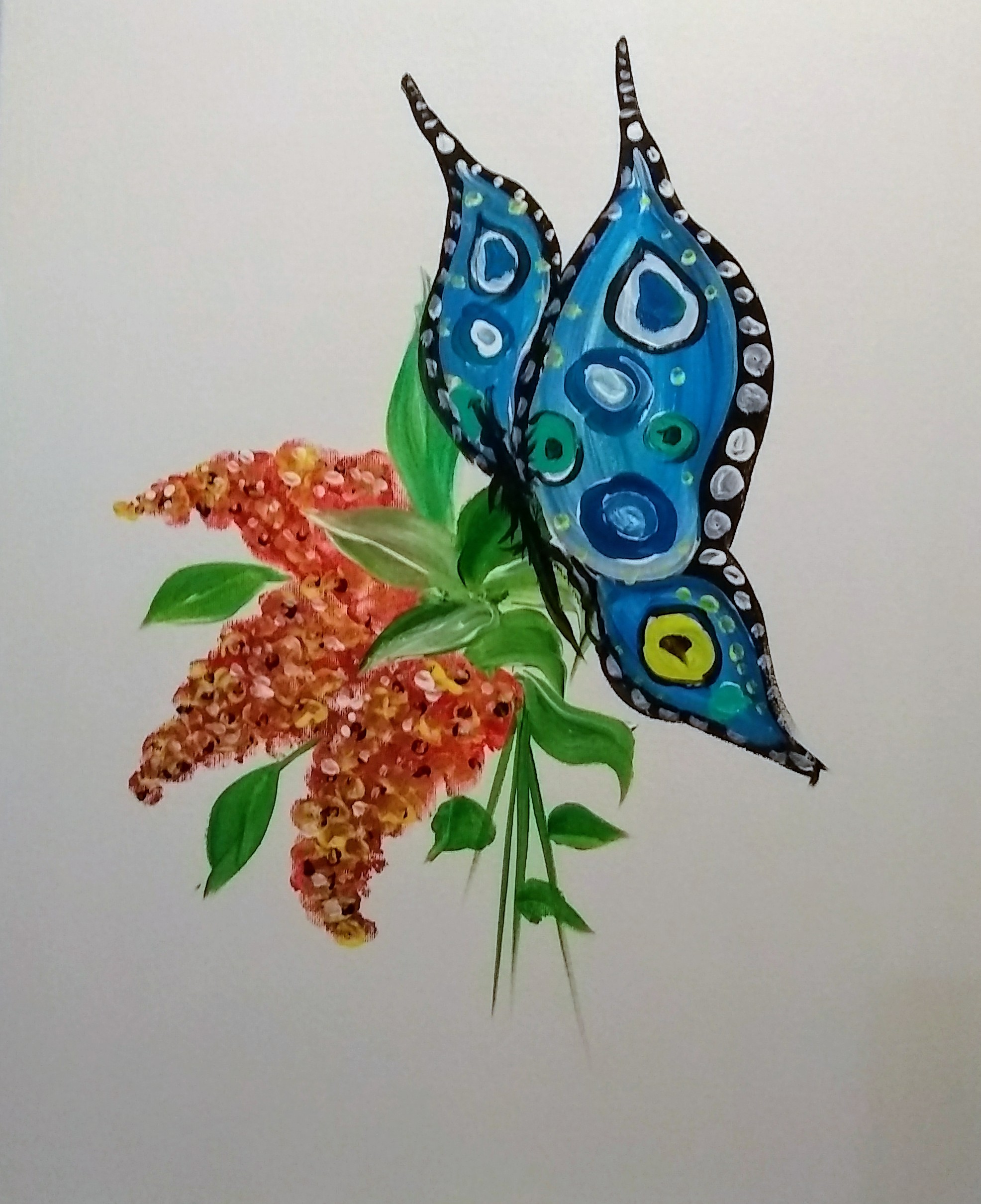 Butterfly