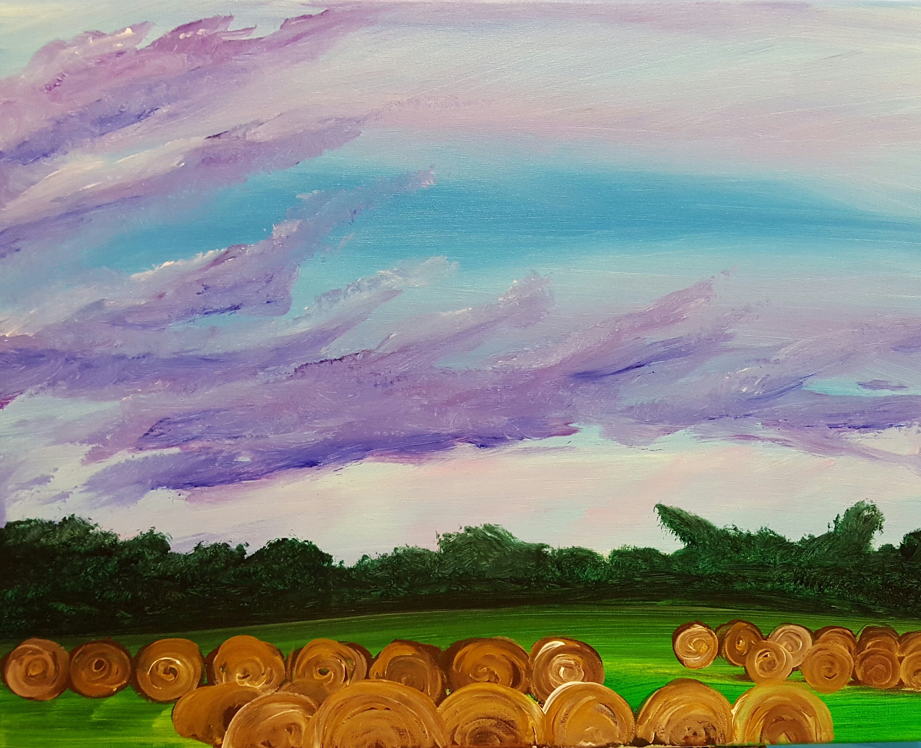 Taimer's Fields