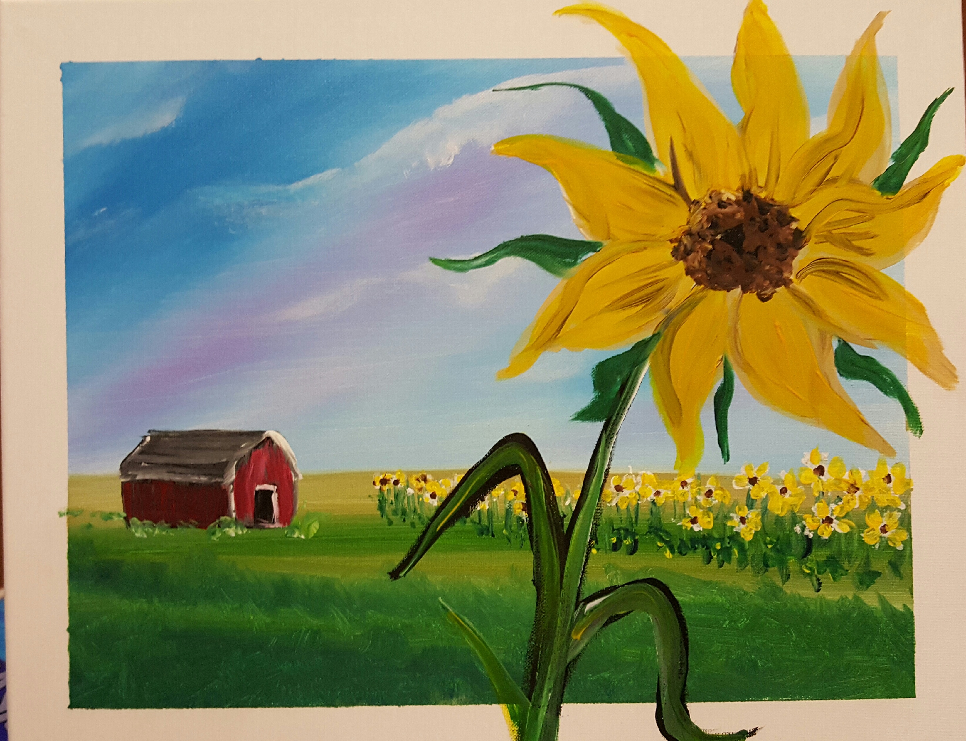 Sunflower Farm