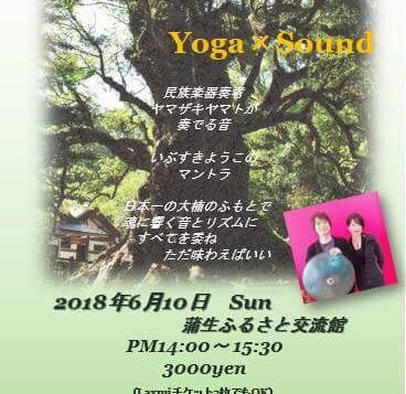 6月10日14時より蒲生町の大楠もとでヨガをやります。