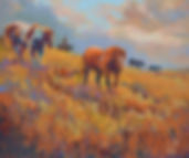Sleek on Summer Grasses.jpeg