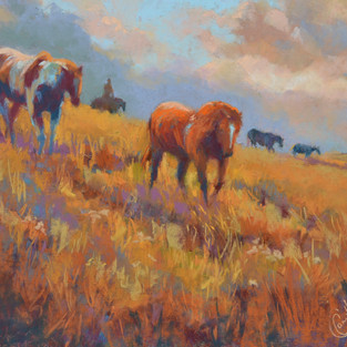 Sleek on Summer Grasses, Pastel, 16X20 Available