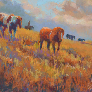 Sleek on Summer Grasses, Pastel, 16X20 Available