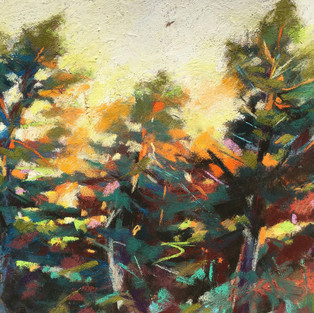 Grand Cedars, Pastel, 8X10, SOLD