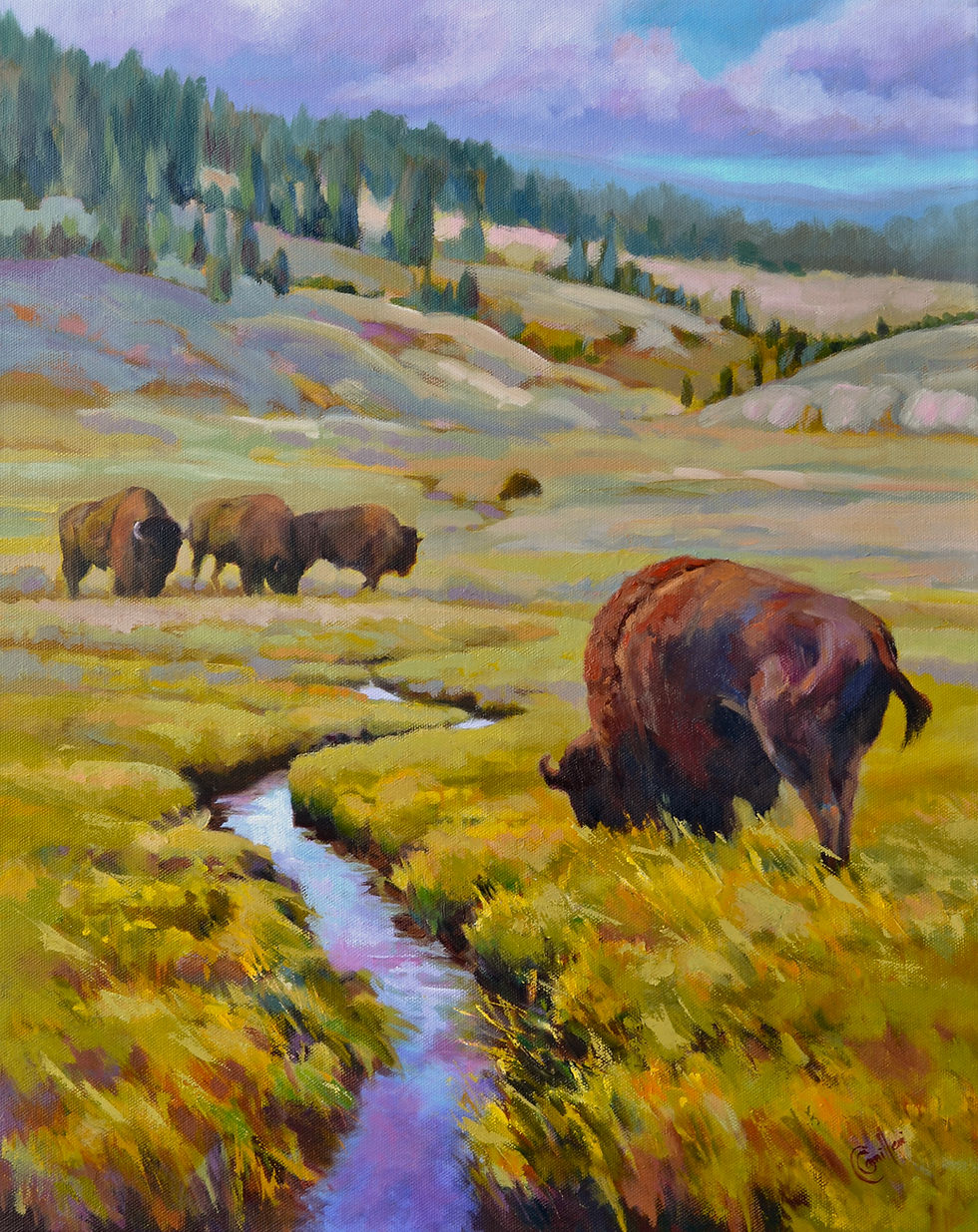 Summer's Pastures SOLD