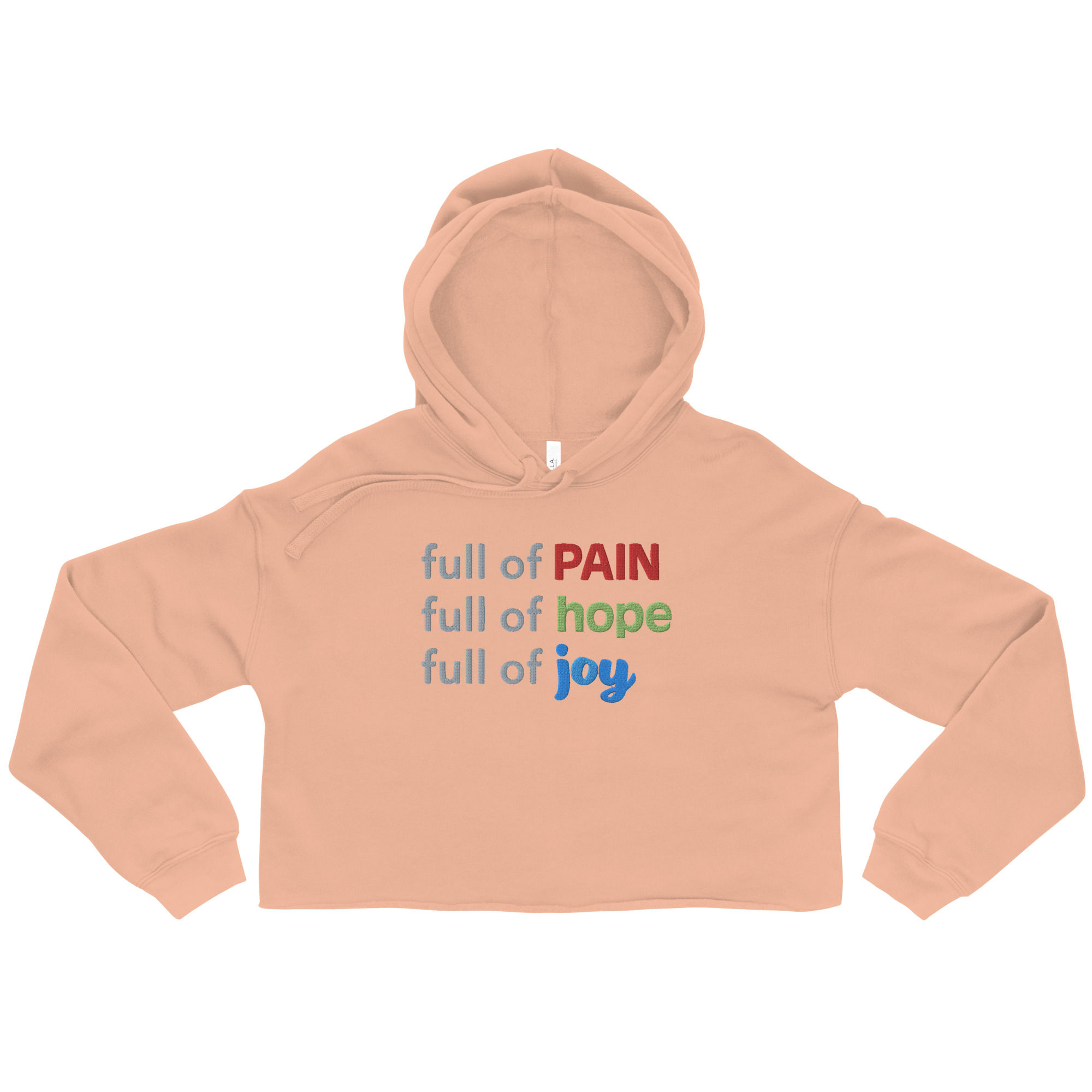 Embroidered Pain Hope JOY Crop Hoodie