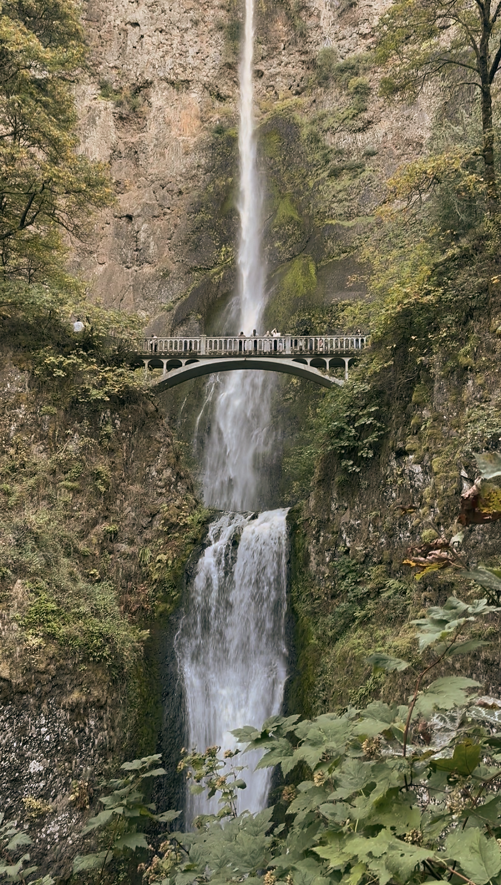 46baeef0-df0e-40f8-8785-d7e5b101c5cf.jpg