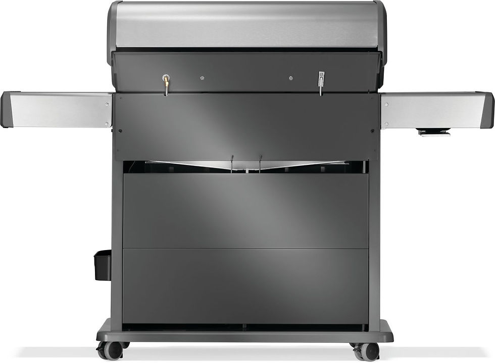 Thumbnail: RPS625RSIBPSS-2 Rogue® PRO-S 625 RSIB with IR Side and Rear Burner