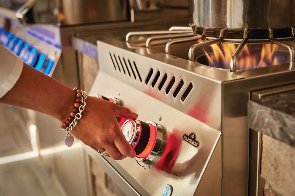 Thumbnail: BIB18PB(N/P)SS Napoleon Built In 700 Series Power Burner with Stainless Cover