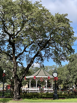 League Park Christmas
