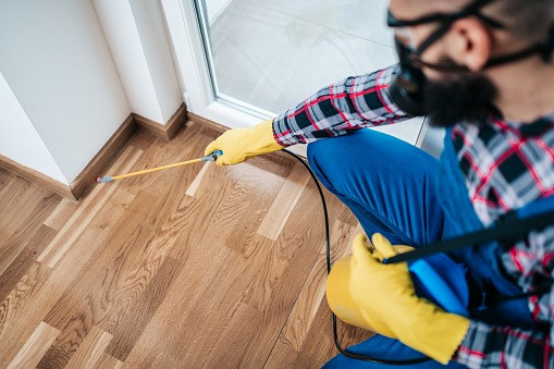 Indoor Quality Pest Control