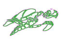 line_trurle_vec.png
