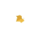 leaf-6.png