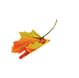 leaf-5_edited.png