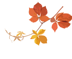 branch.png