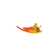 leaf-3.png